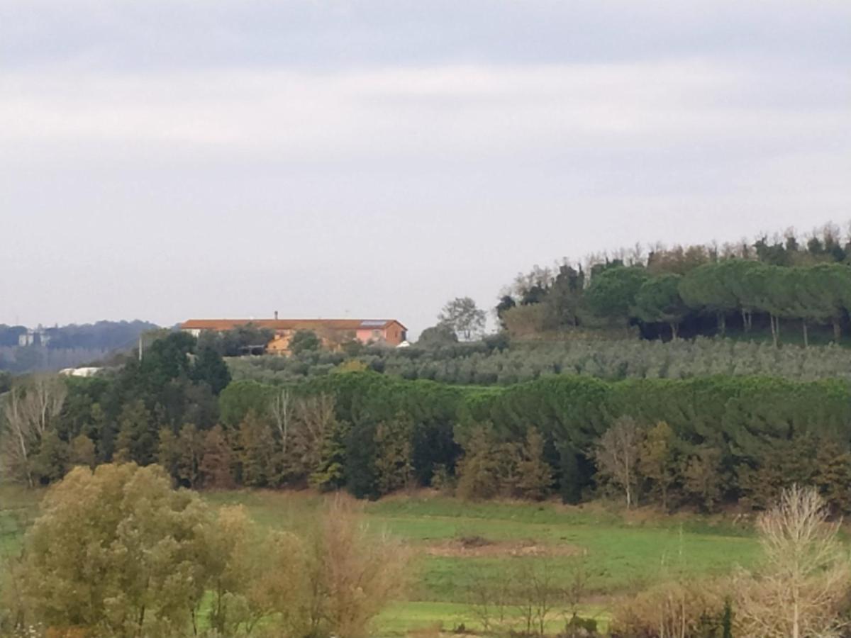 Agriturismo L'Isola 크레스피나 외부 사진