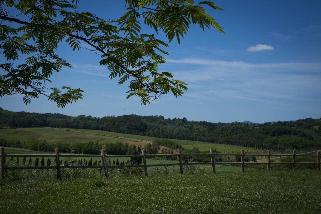 Agriturismo L'Isola 크레스피나 객실 사진