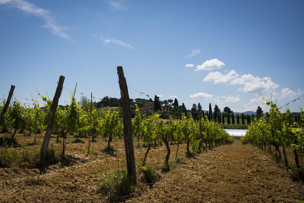 Agriturismo L'Isola 크레스피나 외부 사진