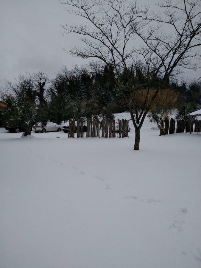 Agriturismo L'Isola 크레스피나 외부 사진